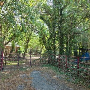 Photo #6 of 17511 PLANTATION RD, ONANCOCK, VA 1.5 acres