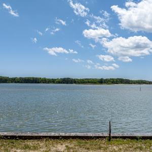 Photo #46 of 7504 PRETTYMAN CIR, EXMORE, VA 100.0 acres
