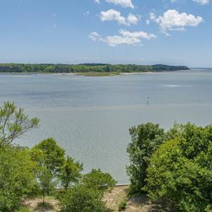Photo #47 of 7504 PRETTYMAN CIR, EXMORE, VA 100.0 acres