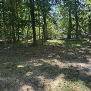 Photo #31 of 2328 MERMAID, GREENBACKVILLE, VA 0.3 acres