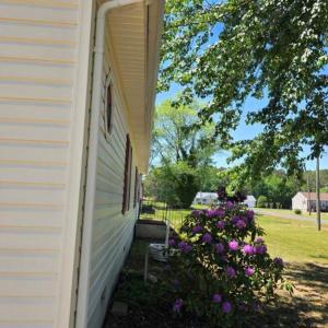 Photo #51 of 26030 CIRCLE DR, BLOXOM, VA 0.5 acres
