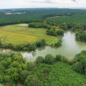 Photo #50 of 6085 MATTASIPPY DRIVE, EXMORE, VA 12.0 acres