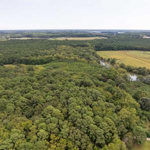 Photo #51 of 6085 MATTASIPPY DRIVE, EXMORE, VA 12.0 acres