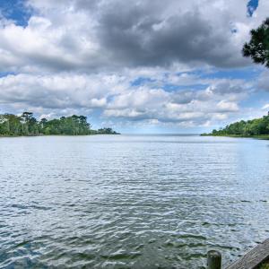 Photo #60 of 6085 MATTASIPPY DRIVE, EXMORE, VA 12.0 acres