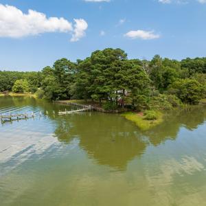 Photo #61 of 6085 MATTASIPPY DRIVE, EXMORE, VA 12.0 acres