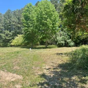 spacious back yard