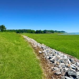 Photo #10 of 11221 CHANNEL RD, ATLANTIC, VA 0.6 acres