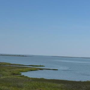 Photo #34 of 11221 CHANNEL RD, ATLANTIC, VA 0.6 acres