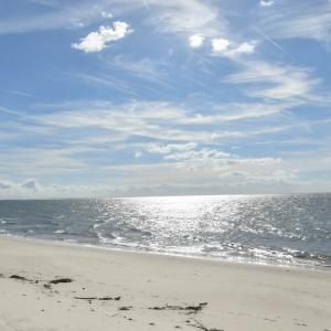 Photo #55 of 2118 BAYVIEW POINT LN, CAPE CHARLES, VA 3.6 acres