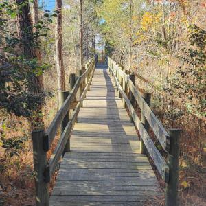Photo #6 of 2118 BAYVIEW POINT LN, CAPE CHARLES, VA 3.6 acres