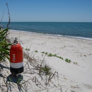 Photo #71 of 2118 BAYVIEW POINT LN, CAPE CHARLES, VA 3.6 acres