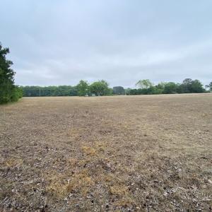 view towards house from the back woods