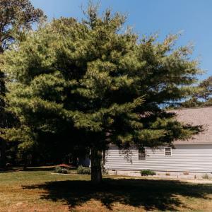Photo #36 of 22226 KING'S COVE CT, CAPE CHARLES, VA 0.7 acres