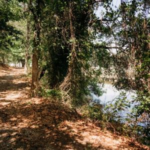 Photo #42 of 22226 KING'S COVE CT, CAPE CHARLES, VA 0.7 acres