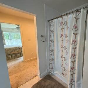 Photo #9 of 3283 HIGH SEA DR, GREENBACKVILLE, VA 0.2 acres
