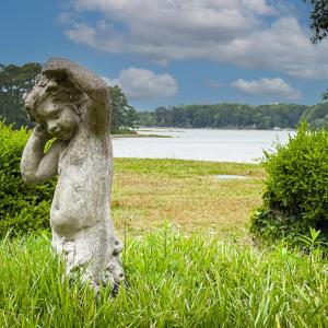 Photo #16 of 5302 KENDALL GROVE POINT LN, EASTVILLE, VA 4.2 acres