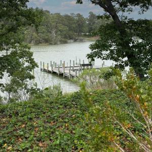 Photo #18 of 5302 KENDALL GROVE POINT LN, EASTVILLE, VA 4.2 acres