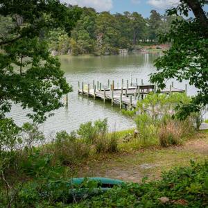 Photo #27 of 5302 KENDALL GROVE POINT LN, EASTVILLE, VA 4.2 acres