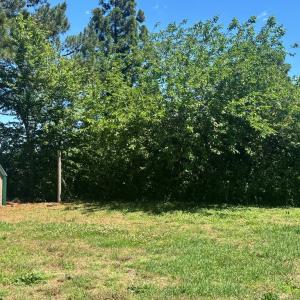 Photo #36 of 26577 TEXACO TOWN ROAD, MELFA, VA 0.4 acres
