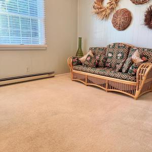 Photo #76 of 6337 CHESTER PARK DR, CHINCOTEAGUE, VA 0.3 acres