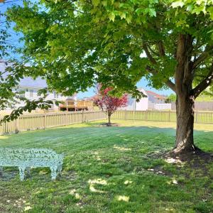 Photo #93 of 6337 CHESTER PARK DR, CHINCOTEAGUE, VA 0.3 acres