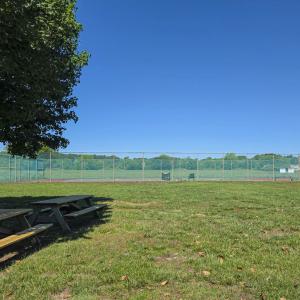 Photo #42 of 11362 SWAN DR, MACHIPONGO, VA 1.0 acres