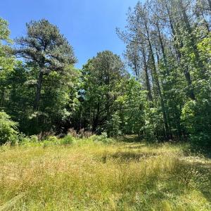 3+ acres across the street