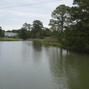 Photo #22 of 30191 BACK CREEK RD, HACKSNECK, VA 2.0 acres