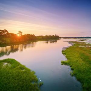 Photo #41 of 4 INKBERRY CT, CAPE CHARLES, VA 0.2 acres