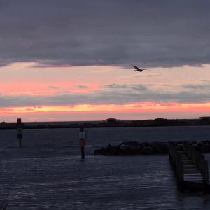 Photo #38 of 29321 ARLINGTON RD, CAPE CHARLES, VA 0.9 acres
