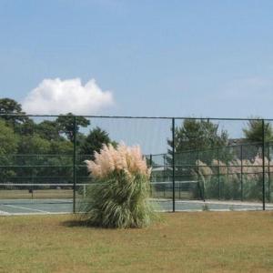 Photo #5 of 3270 YARMOUTH DR, CAPE CHARLES, VA 0.6 acres
