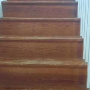 Photo #22 of 4515 TOWNSEND DR, CAPE CHARLES, VA 0.3 acres