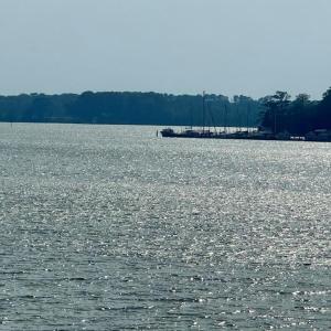 Photo #47 of 35204 BLUFF DR, BELLE HAVEN, VA 2.1 acres