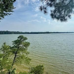 Photo #6 of 35204 BLUFF DR, BELLE HAVEN, VA 2.1 acres