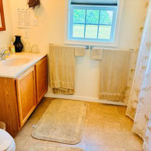 1st Floor Guest Bathroom