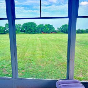 Backyard View