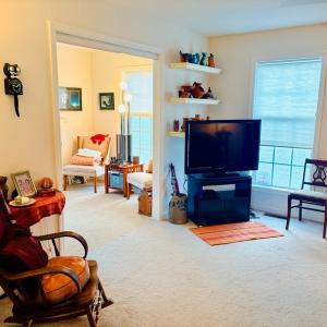 Living Room/Den