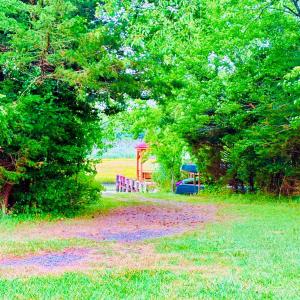 Community Boat Ramp/Pier