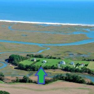 Aerial View1