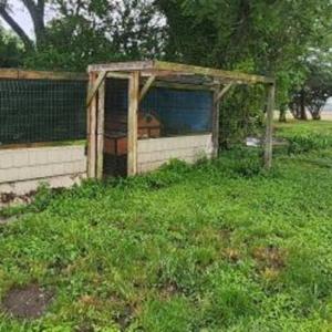 Photo #17 of 3249 WARDTOWN RD, EXMORE, VA 0.3 acres