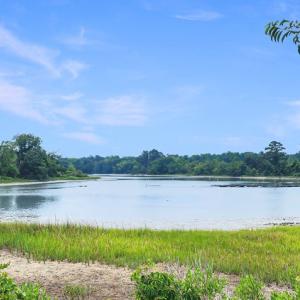 Photo #3 of 2598 CHERRYSTONE RD, CAPE CHARLES, VA 94.0 acres