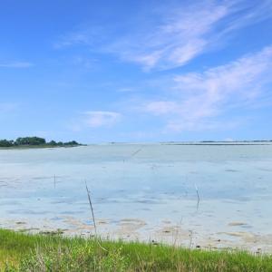 Photo #4 of 2598 CHERRYSTONE RD, CAPE CHARLES, VA 94.0 acres