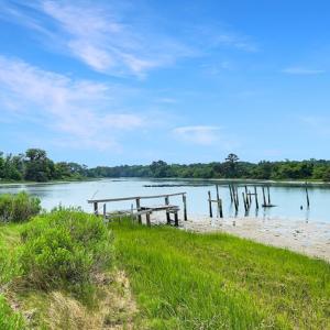 Photo #5 of 2598 CHERRYSTONE RD, CAPE CHARLES, VA 94.0 acres
