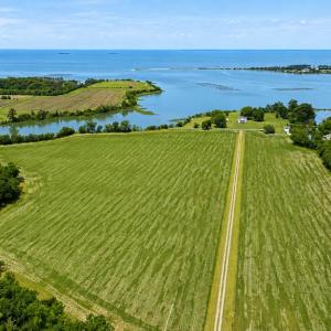 Photo #6 of 2598 CHERRYSTONE RD, CAPE CHARLES, VA 94.0 acres