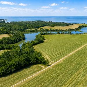 Photo #7 of 2598 CHERRYSTONE RD, CAPE CHARLES, VA 94.0 acres