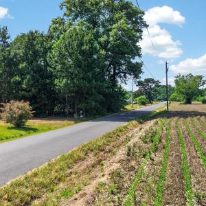 Photo #19 of 22292 WHARTON RD, ACCOMAC, VA 2.1 acres