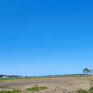 Photo #41 of 5275 WOODLAND DR, CHINCOTEAGUE, VA 2.4 acres