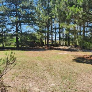 Photo #42 of 5275 WOODLAND DR, CHINCOTEAGUE, VA 2.4 acres