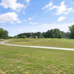 Photo #43 of 37092 HORIZON, GREENBACKVILLE, VA 0.2 acres