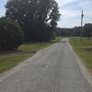Road View